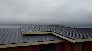 Best Roof Coating and Sealing  in Scaggsville, MD